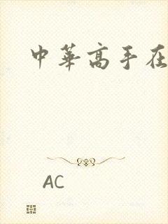 中华高手在异世