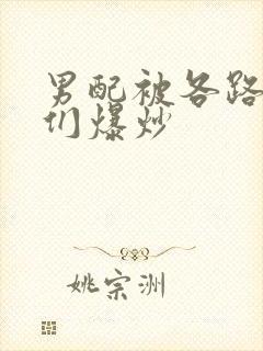 男配被各路大佬们爆炒