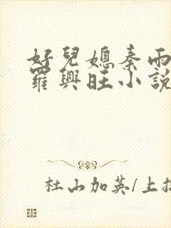 好儿媳秦雨罗明罗兴旺小说