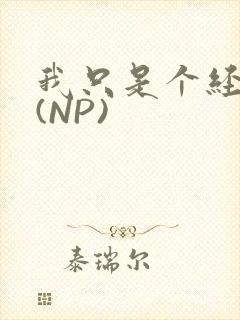 我只是个经纪人(NP)