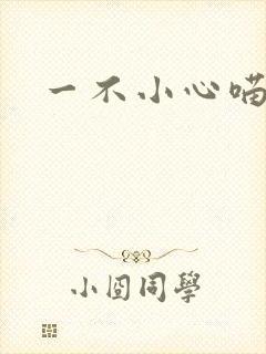 一不小心喵上你