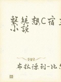 系统想C宿主的小说