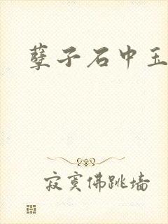 孽子石中玉