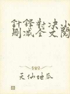 针锋对决小说未删减全文阅读