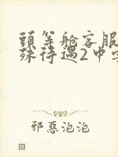 头等舱客服的特殊待遇2中字