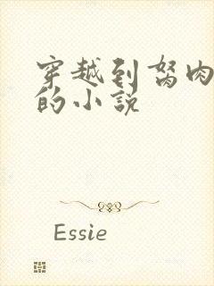 穿越到胬肉系统的小说