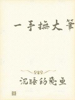 一手抚大笔趣阁