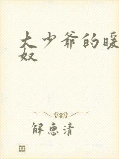 大少爷的暖床小奴