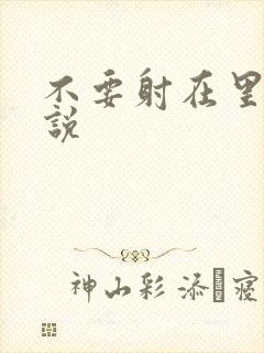 不要射在里面小说