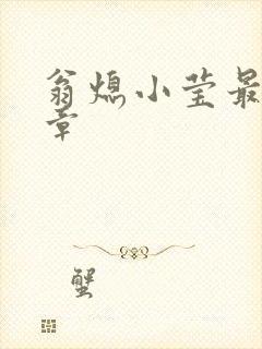 翁熄小莹最新节章