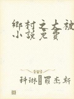 乡村之大被同眠小说免费