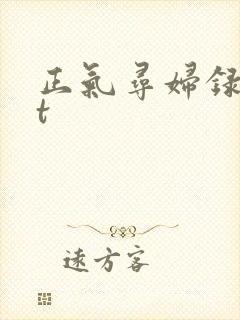 正气寻妇录txt