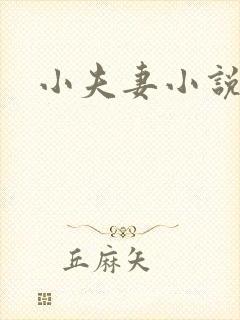 小夫妻小说