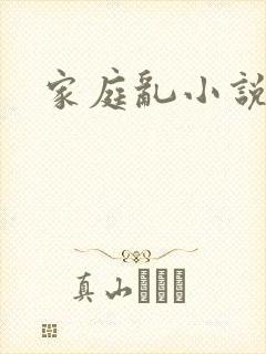 家庭乱小说