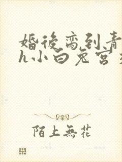 婚后脔到青梅哭h小白兔宫交h