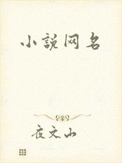 小说网名