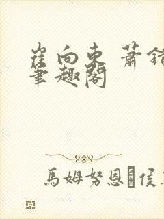 崔向东 萧错 笔趣阁