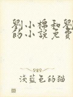 刘小棉和刘易文的小说免费阅读