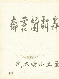 太子妃和皇帝在御花园叫什么小说