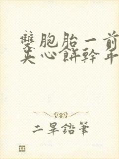 双胞胎一前一后夹心饼干年下