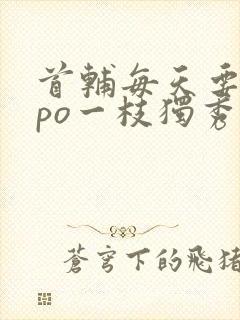 首辅每天要不够po一枝独秀全文