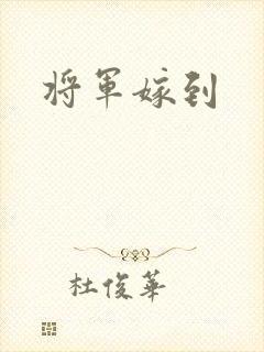 将军嫁到