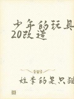 少年的玩具1一20改造