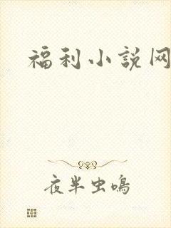福利小说网
