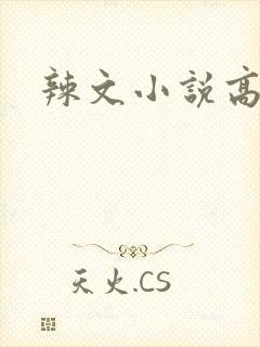 辣文小说高h