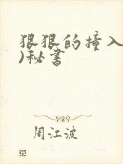 狠狠的撞入(h)秘书