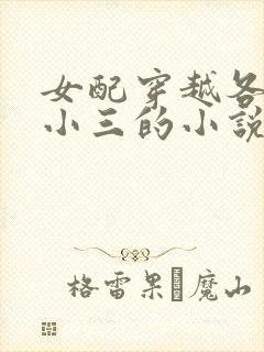 女配穿越各个做小三的小说