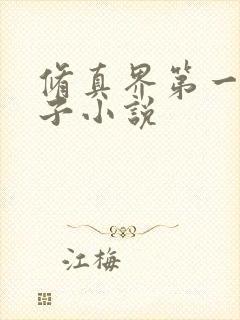 修真界第一病秧子小说