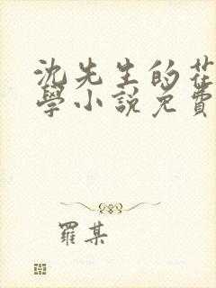 沈先生的花式教学小说免费