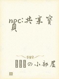 npc:共享宝贝