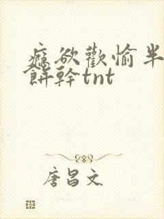 瘾欲欢愉半块小饼干tnt