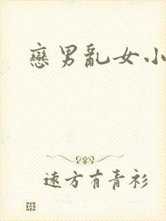 恋男乱女小说