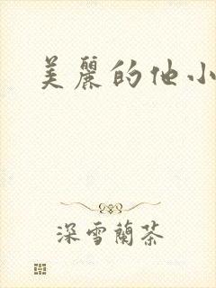 美丽的他小说