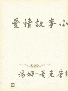 爱情故事小说