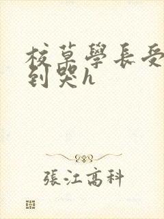 校草学长受被做到哭h