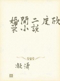 婚开二度欣欣向荣小说