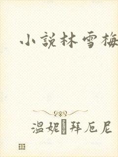 小说林雪梅