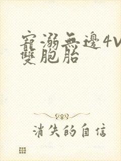 宠溺无边4V2双胞胎