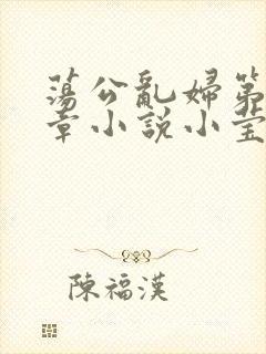 荡公乱妇第51章小说小莹