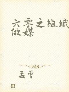 六零之组织给我做媒