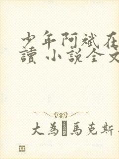 少年阿斌在线阅读 小说全文免费