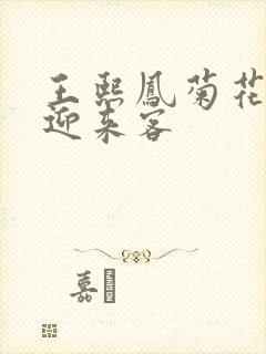 王熙凤菊花门初迎来客