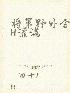 将军野外含公主H灌满