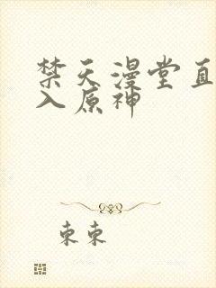 禁天漫堂直接进入原神