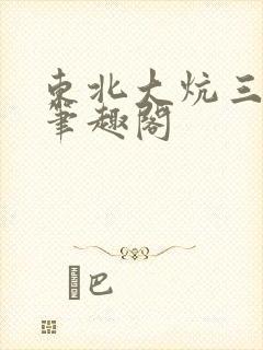 东北大炕三部曲笔趣阁