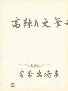 高辣h文笔趣阁